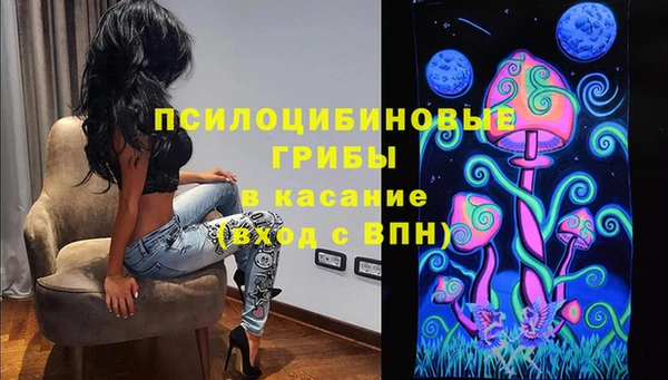 амф Медногорск