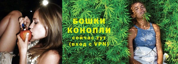 apvp Магадан